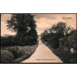 Helleb&aelig;k - Vejen til Hammerm&oslash;llen - Sk.B. & Kf. 1819
