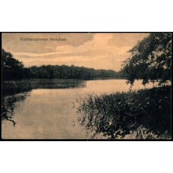 Kobberdammen - Helleb&aelig;k - J.M. 560