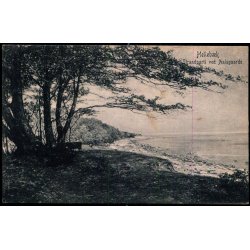 Strandparti ved Aalsgaarde - Helleb&aelig;k - Peter Alstrup 5324