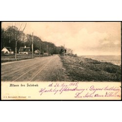 Hilsen fra Juleb&aelig;k - J.C. Borregaard 414