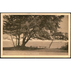 K&aelig;rlighedsb&aelig;nkene ved Nordre Strandvej - Jens M&oslash;ller 824