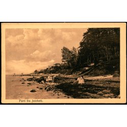 Parti fra Juleb&aelig;k - Alex Vincent 287