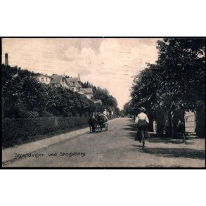 Strandvejen ved Skodsborg - C. St. 3767