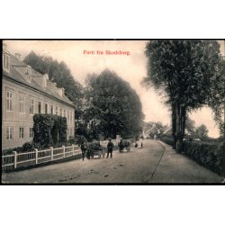 Parti fra Skodsborg - GM 2531