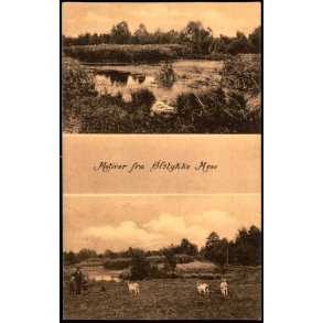 Motiver fra Ølstykke Mose - C. Rasmussen u/n