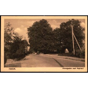 Farum - Hovedgaden med Majtræset - Westerborg 28