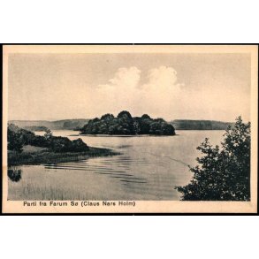 Parti fra Farum Sø ( Claus Nars Holm) - J.J.N. 9977