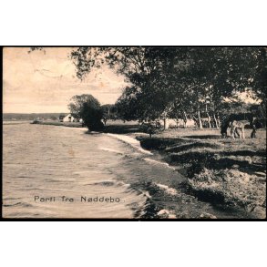 Parti fra Nøddebo - Stender 6035