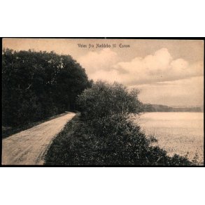 Veien fra Nøddebo til Esrom - Peter Alstrup 5451