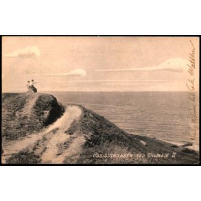 Udsigtsbakken ved Gilleleje II - V. T&uuml;rck 449