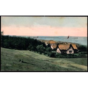 Gilleleje - Parti ved Granplantagen - Stender 6297