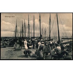 Gilleleje Havn - Sk. B. & Kf 1890