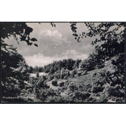 Hadsund - Lindale - Eneret 93446