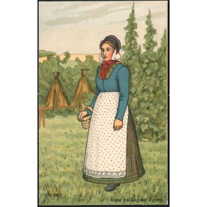 Kone fra Løgstør Egnen - Fritz Benzen 16 - Danske Folkedragter