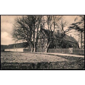 Esrom Kloster (Sj&aelig;lland) - Alex Vincent 2013