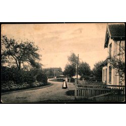 Saltrup - Knud Poulsen 501