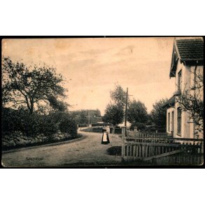 Saltrup - Knud Poulsen 501