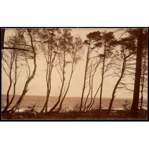 Hornb�k Plantage - Fotokort - Hornb�k Kiosk u/n