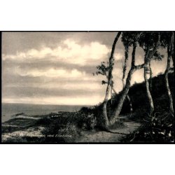 Hornb�k Plantage ved Ellekilde - Rudolf Olsen 102