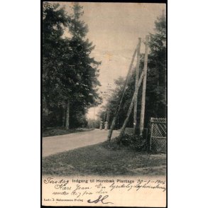 Indgang til Hornb�k Plantage - L.J. Hahnemann u/n