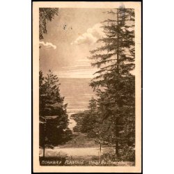 Hornb�k Plantage - Udsigt fra �rnereden - V. T�rck 937