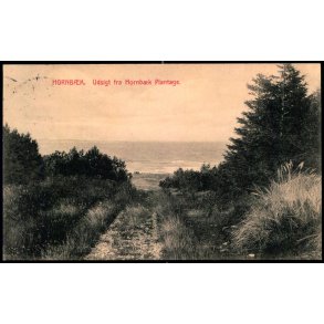 Hornb�k - Udsigt fra Hornb�k Plantage - H. Mogensen 12549
