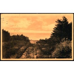 Udsigt fra Hornb�k Plantage - H. Mogensen 27981