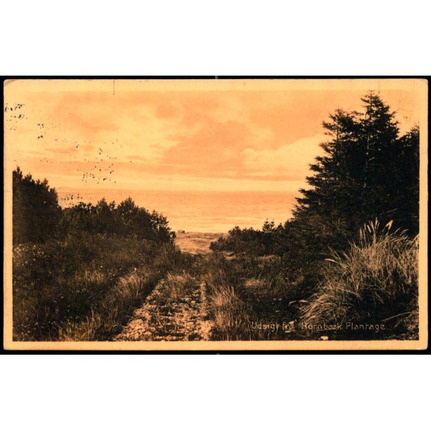 Udsigt fra Hornb�k Plantage - H. Mogensen 27981