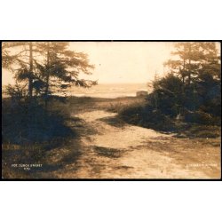 Hornb�k Plantage - V. T�rck 17