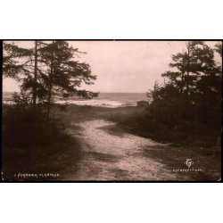 Hornb&aelig;k Plantage - V. T&uuml;rck u/n