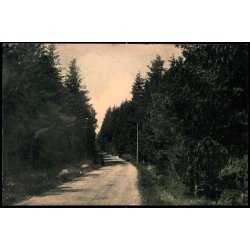 Parti af Plantagen ved Hornb�k - Bodilsen &amp; Wejby 346