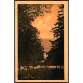 Hornb�k Plantage - Hornb�k Kiosk u/n