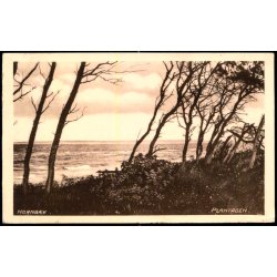 Hornb�k - Plantagen - Bodilsen &amp; Wejby u/n