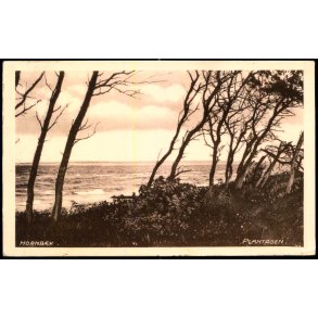 Hornb�k - Plantagen - Bodilsen & Wejby u/n