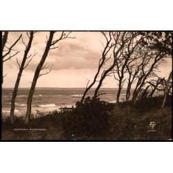 Hornb�k Plantage - V. T�rck u/n