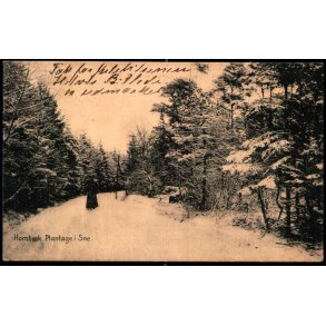 Hornb�k Plantage i Sne - H. Mogensen u/n