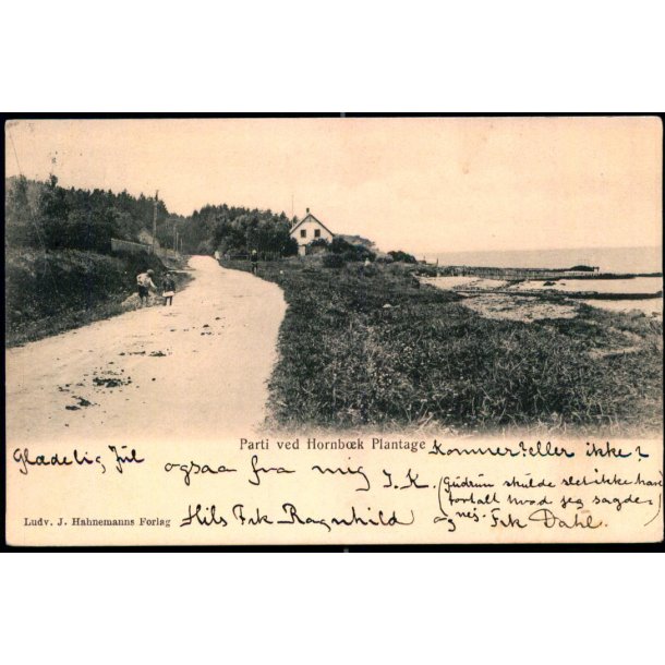 Parti ved Hornb�k Plantage - L.J. Hahnemann u/n
