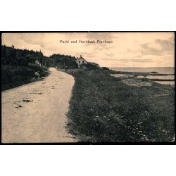 Parti ved Hornb�k Plantage - L.J. Hahnemann u/n