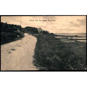 Parti ved Hornb�k Plantage - L.J. Hahnemann u/n