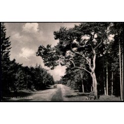 Hornb�k Plantage - Hornb�k Bogh. 79397