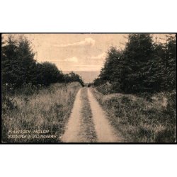 Plantagen mellem Hornb�k &amp; Villingeb�k II - V. T�rck 448