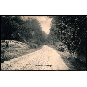 Hornb�k Plantage - Peter Alstrup 5329