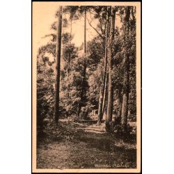 Hornb�k Plantage - H. Mogensen 35634