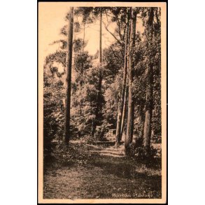 Hornb�k Plantage - H. Mogensen 35634