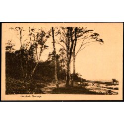 Hornb&aelig;k Plantage - V. T&uuml;rck 9