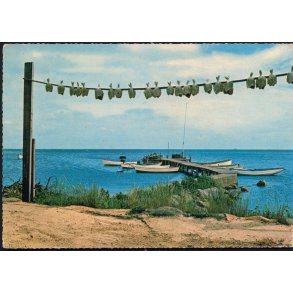 Frederikshavn - Fisken T&oslash;rres - Stender 49 604/27