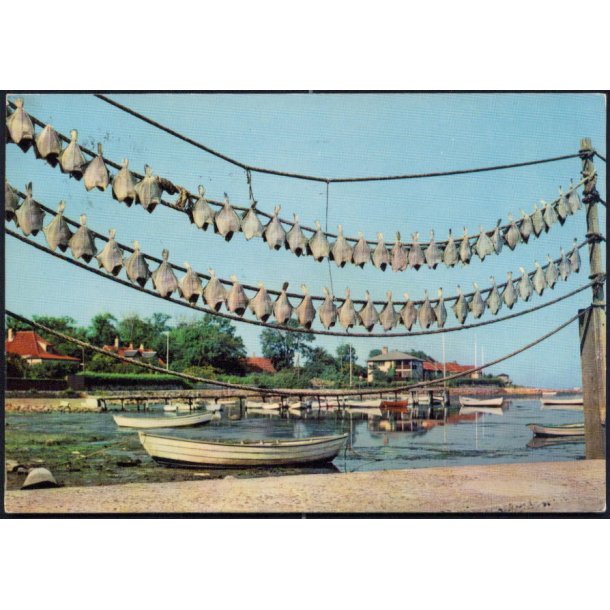 Frederikshavn - T&oslash;rrede Jyder - Viggo Asmussen 202