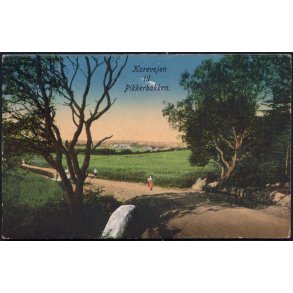 Korevejen til Pikkerbakken - SGSG