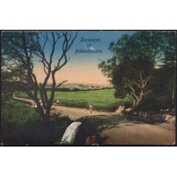 Korevejen til Pikkerbakken - SGSG