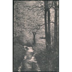 Gl. Borggrav - Buderupholm - Ingeborg Hansen 2913